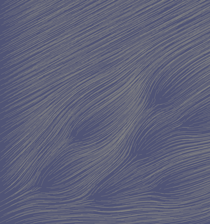 Agents Steered by a Vector Field – Example 11.1