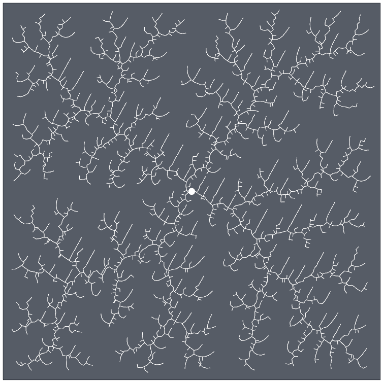 Diffuse Limited Aggregation Structure – Example 10.2